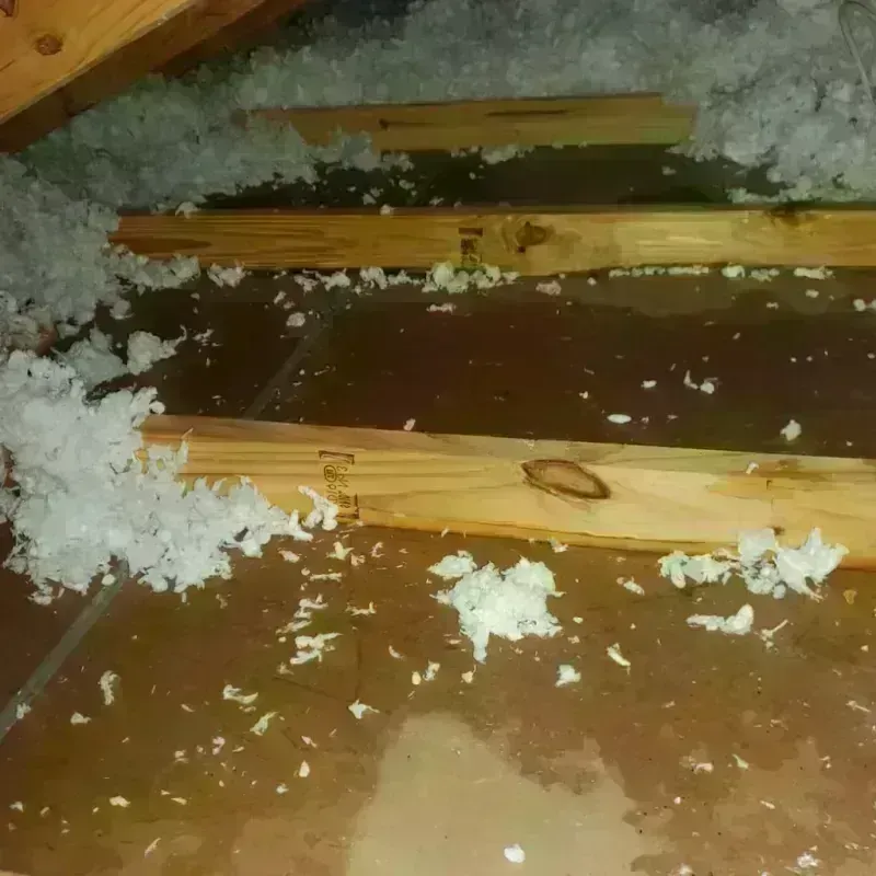 Attic Water Damage in Spink County, SD